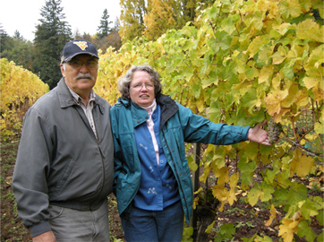Ponzi Vineyards